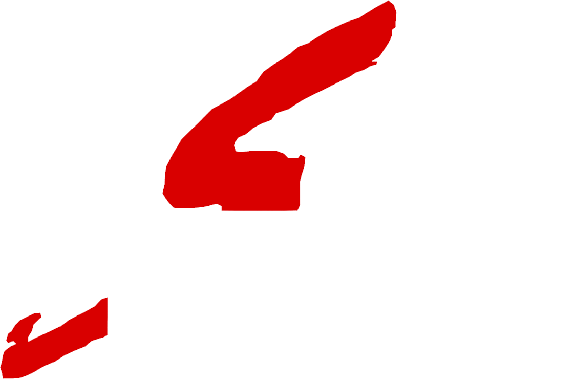 Schlouch Incorporated